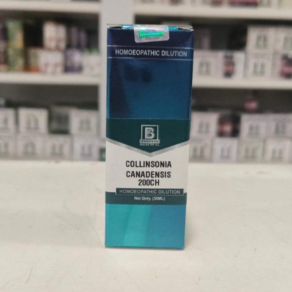COLLINSONIA CANADENSIS 200CH